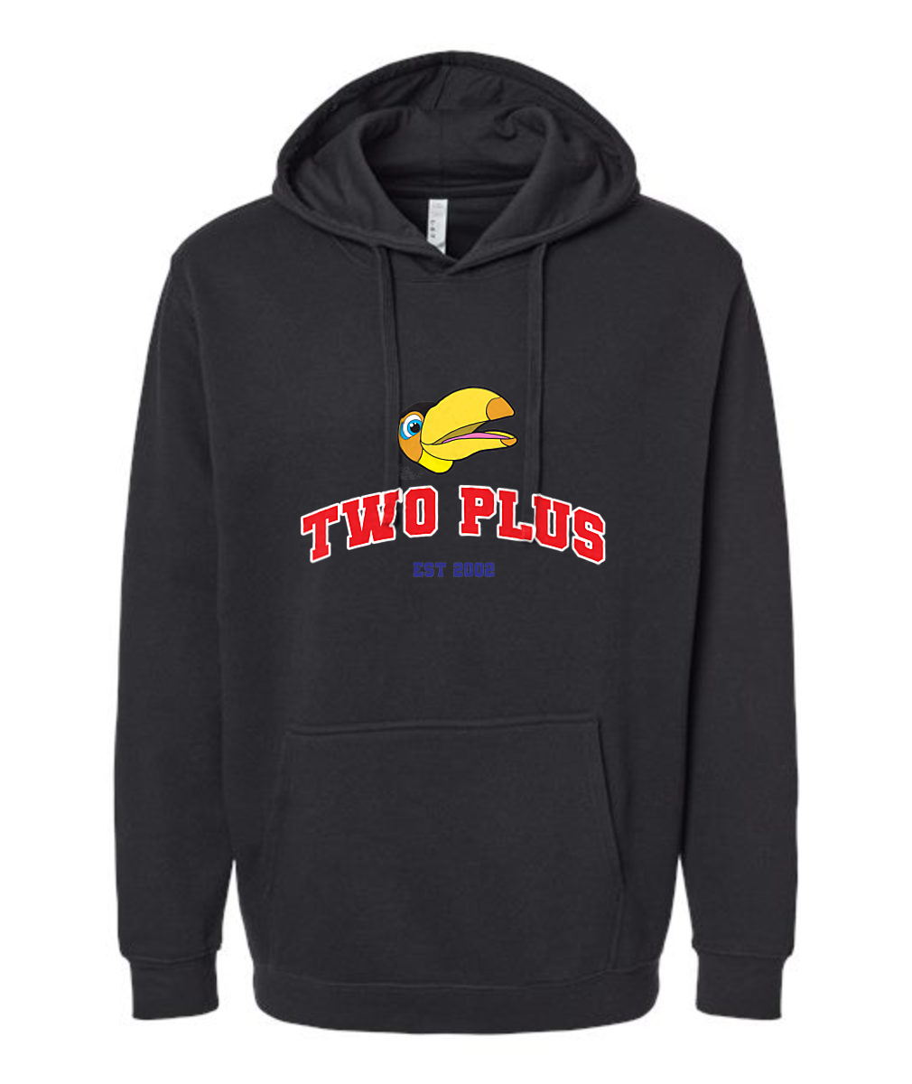 Bubbles and Friends - Two Plus Toucan Adult Hoodie