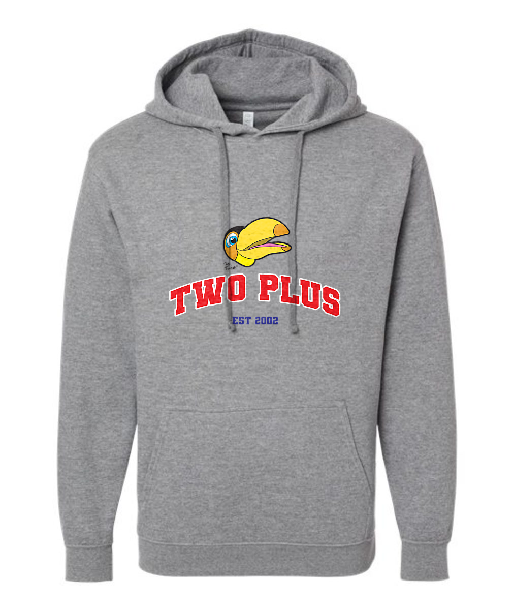 Bubbles and Friends - Two Plus Toucan Adult Hoodie