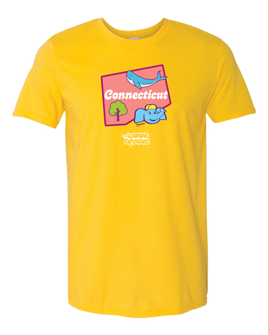 TLE Parade of Flags State T-Shirts Northeast Region + UK Region