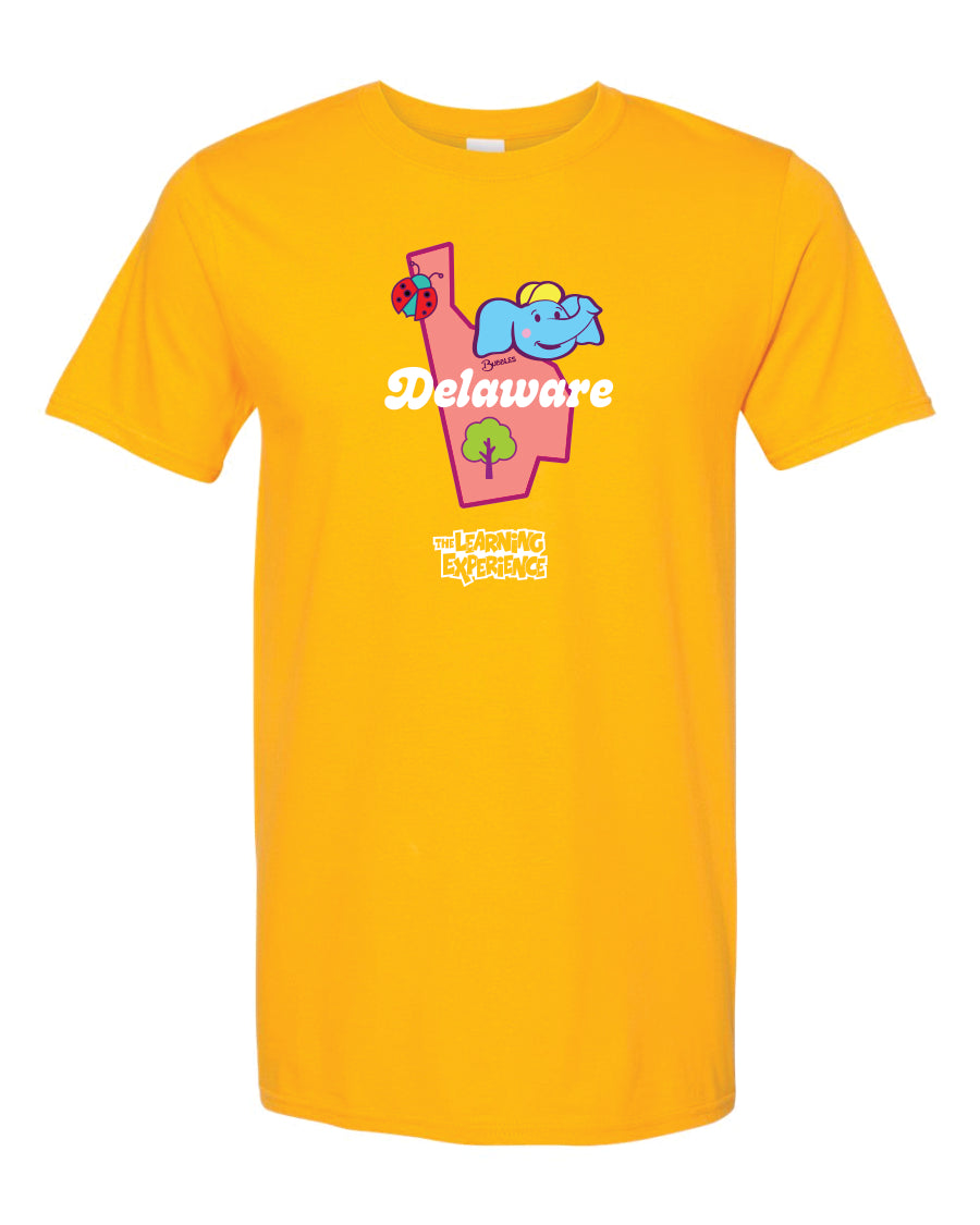 TLE Parade of Flags State T-Shirts Northeast Region + UK Region