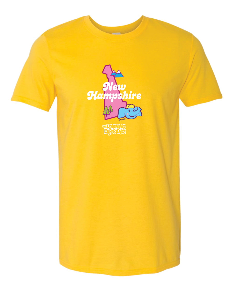 TLE Parade of Flags State T-Shirts Northeast Region + UK Region